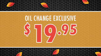 $19.95 Oil Change Exclusive
