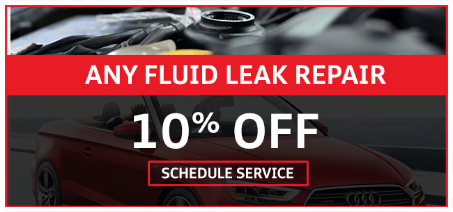 Any Fluid Leak Repair