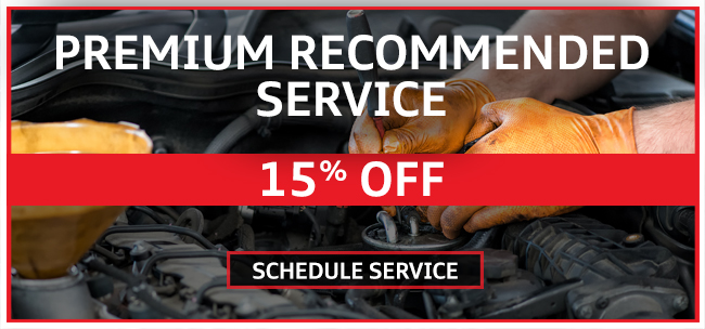Premium Recommended Service