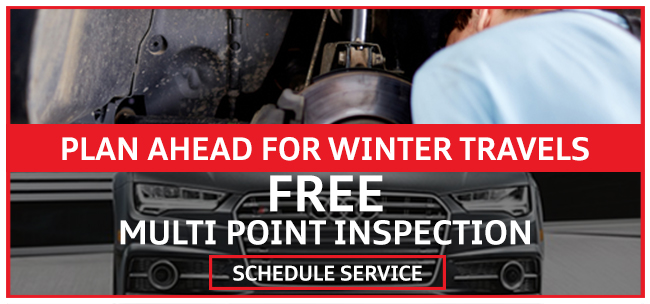 FREE Multi-point Inspection