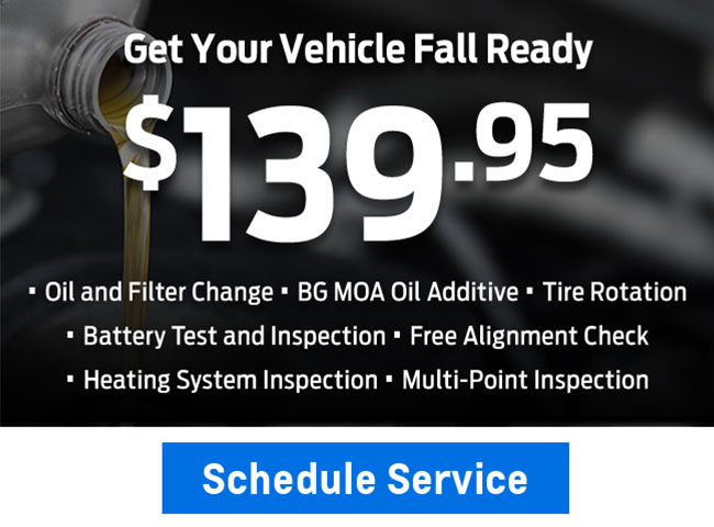 Special offer on servicing your vehicle. See dealer for details.