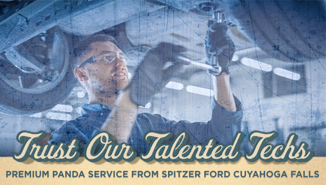 trust our talented techs-premium Panda service from Spitzer