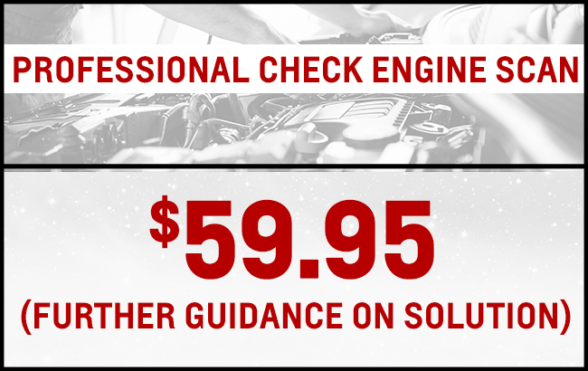 Professional Check Engine Scan