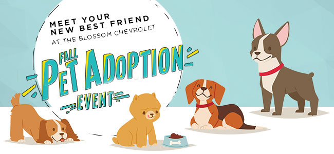 Fall Pet Adoption Event