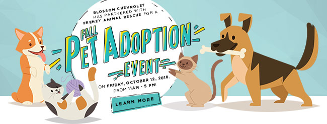 Fall Pet Adoption Event