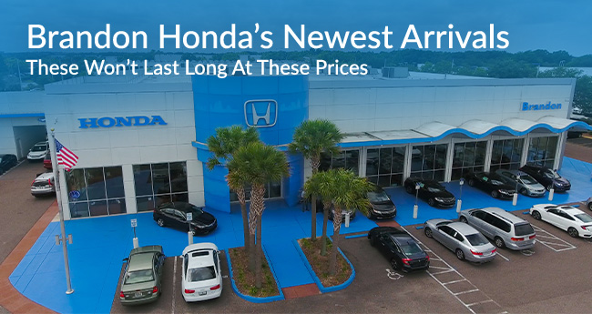 Brandon Honda's Newest Arrivals, these won't last long at these prices