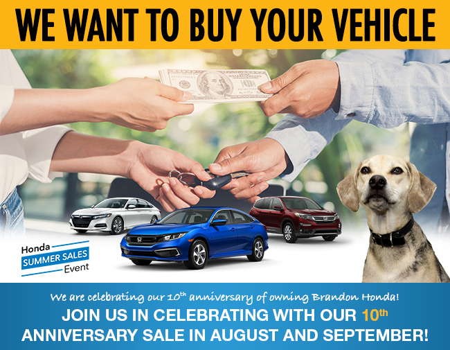 WE WANT TO BUY YOUR CAR!