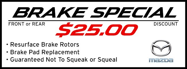 Brake Special - Front or Rear