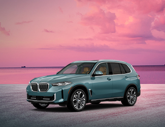 2025	BMW	X5	sDrive40i image