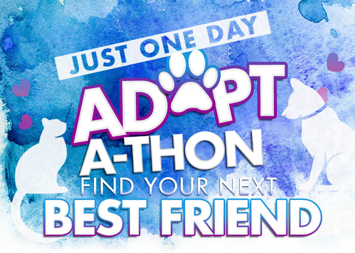  Just One Day! Adopt-A-Thon. Find Your Next Best Friend.