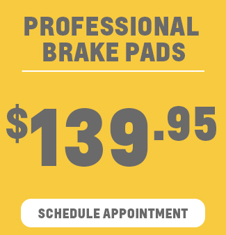 PROFESSIONAL BRAKE PADS - $139.95