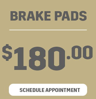 PROFESSIONAL BRAKE PADS - $180.00