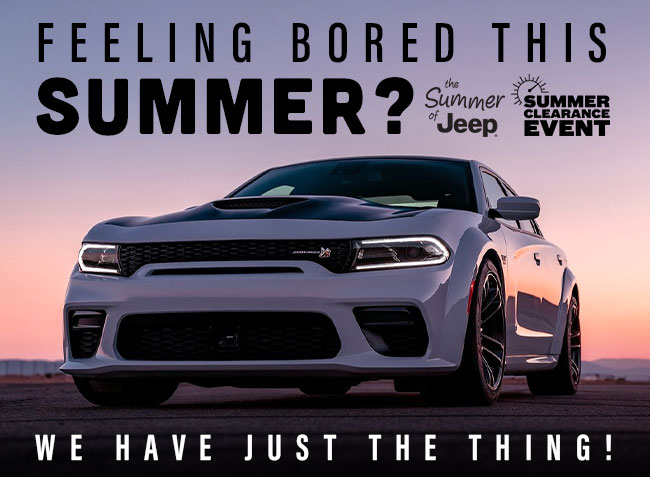 Feeling bored this summer? we have just the thing!