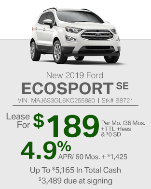 2019 Ford Eco Sport SE