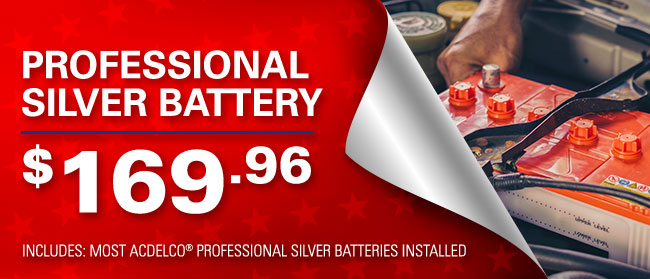 Professional Silver Battery