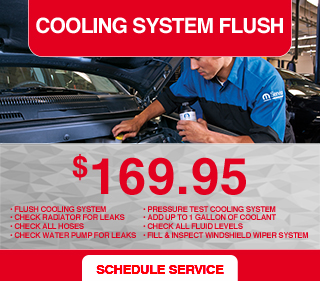 Cooling system flush