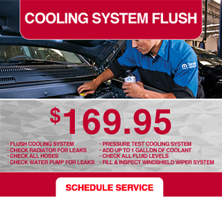 Cooling system flush