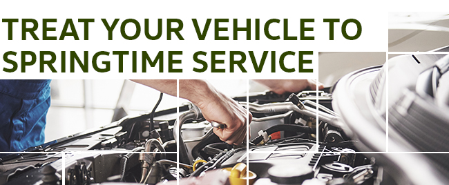 Treat Your Vehicle To Springtime Service