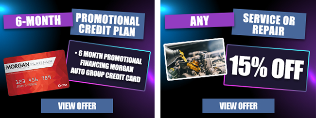 6 Month Promotional Credit Plan and 15% off any service