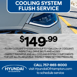 Hyundai cooling system flush service