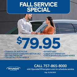 Hyundai Service Fuel Injection Service