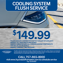 Hyundai cooling system flush service