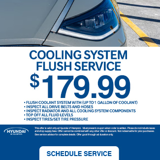 cooling system flush service