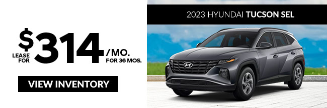 APR Hyundai Models