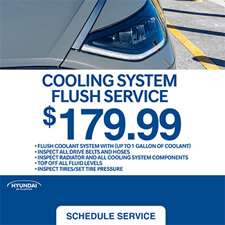 cooling system flush service