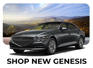 shop new Genesis