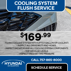 cooling system flush