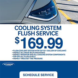 cooling system flush