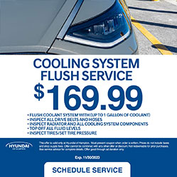 cooling system flush