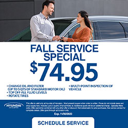 fall service special