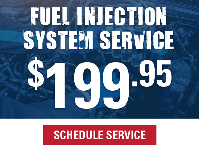 Fuel Injection system service