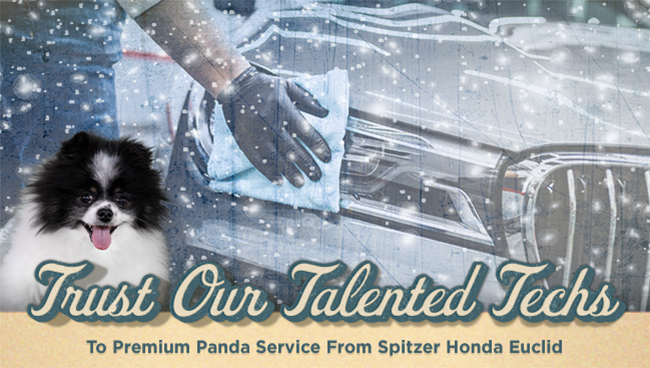 Trust our talented techs - to premium panda service from Spitzer Honda Euclid