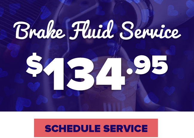 Brake Fluid Service