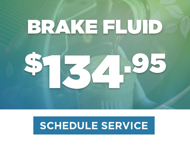 Brake Fluid Service