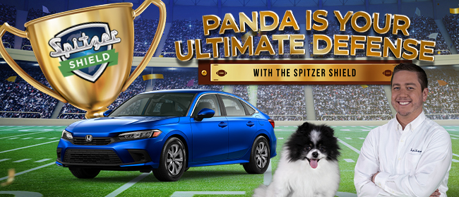 Panda is your best defense with Spitzer Shield