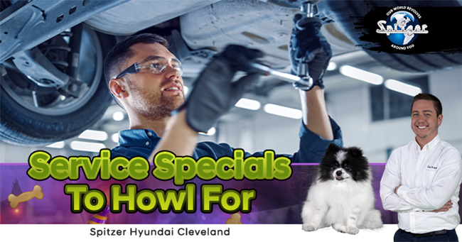 Fall service specials to howl for with halloween colors and tech working on engine