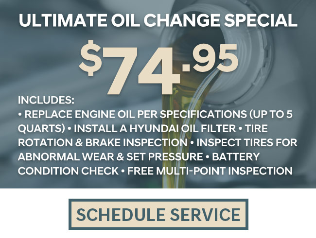 Ultimate oil change special