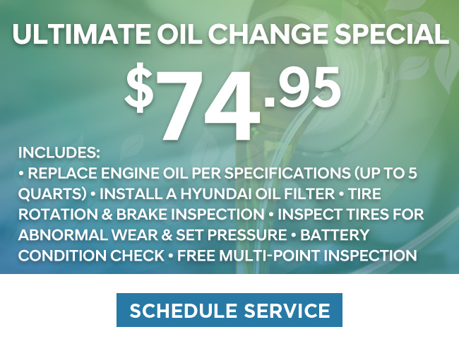 Ultimate oil change special