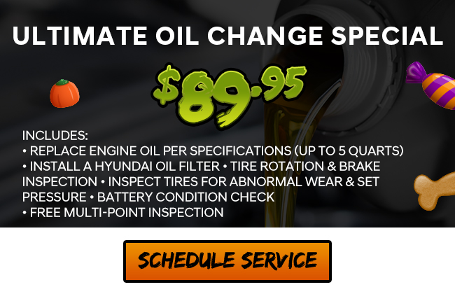 Ultimate Oil Change Special