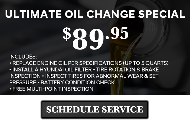 Ultimate Oil Change Special