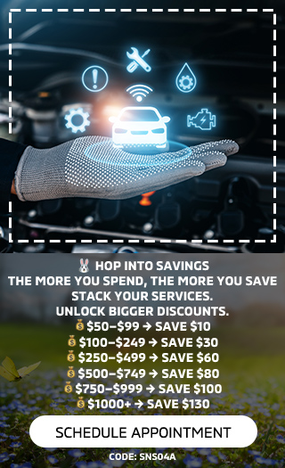 Exterior shine package