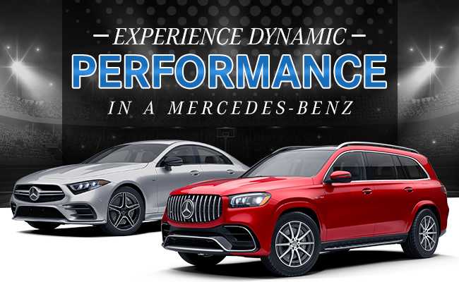 experience dynamic performance