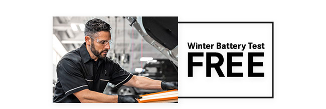 Seasonal Battery Test