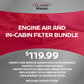 Engine air and in-cabin filter bundle