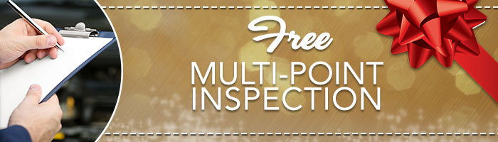 Free Multi-Point Inspection Special