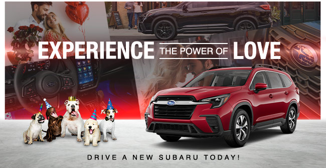 take on 2024, drive a new Subaru today!